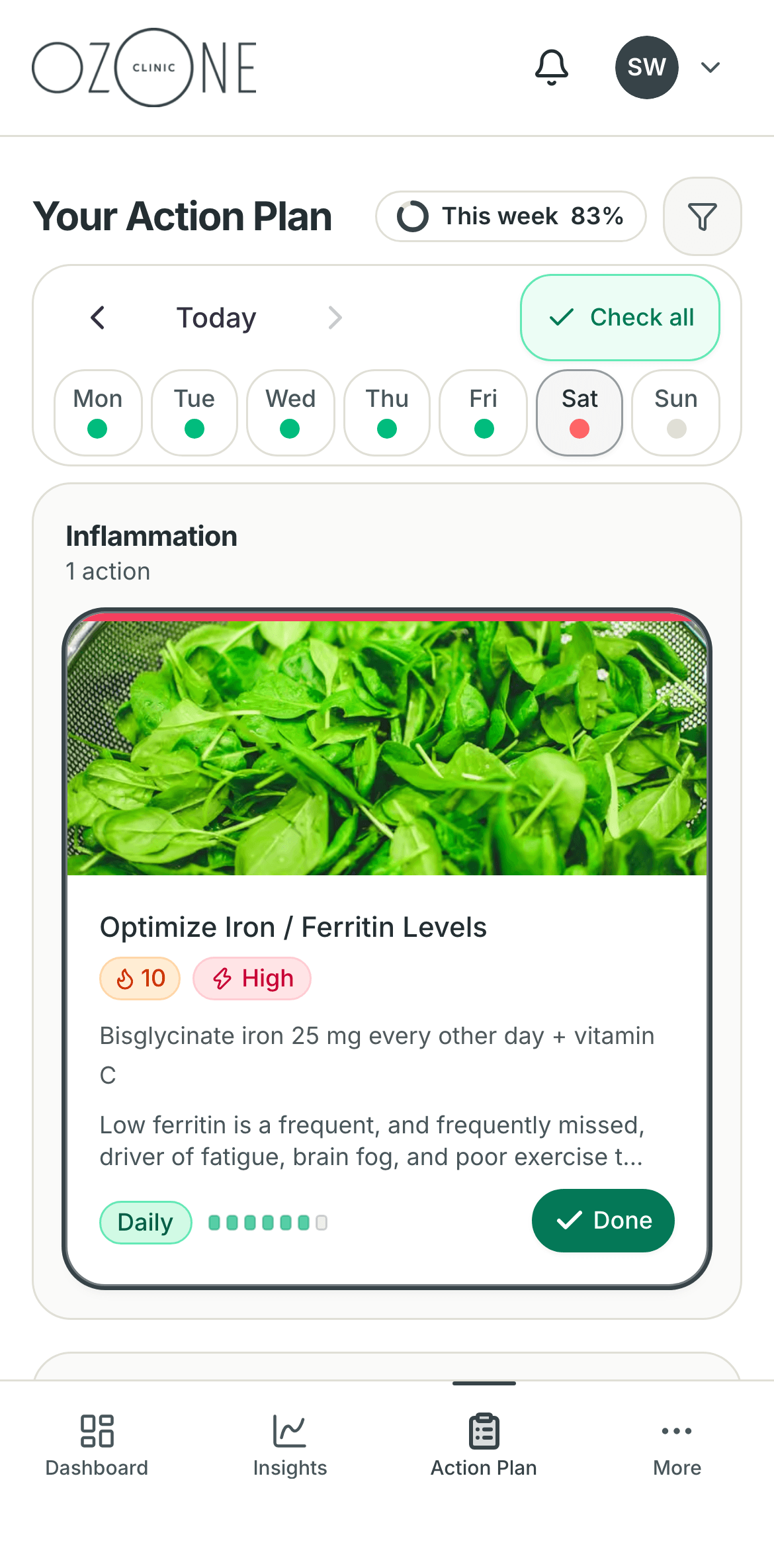 An action plan in the PER portal: optimise iron and ferritin levels, with the practitioner's reason and how often to do it